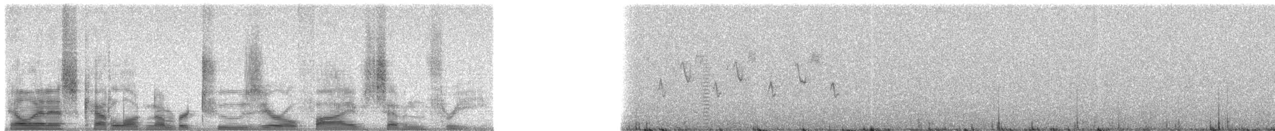 Eurasian Blue Tit - ML20573