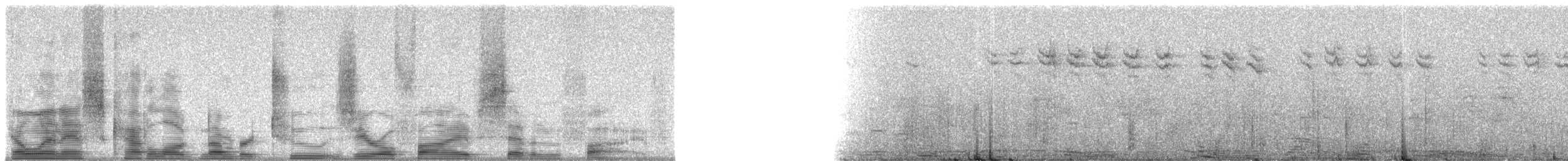 Eurasian Blackbird - ML20575