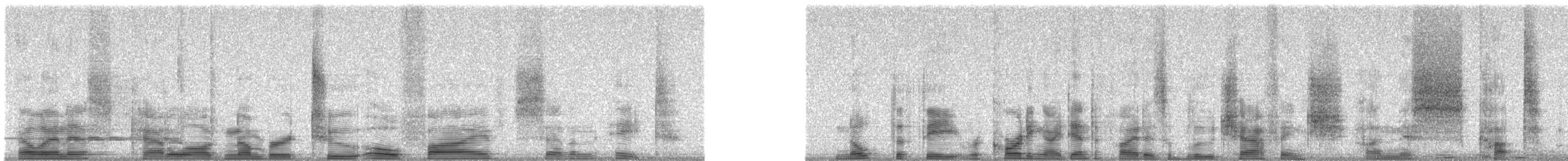 Eurasian Blue Tit - ML20578