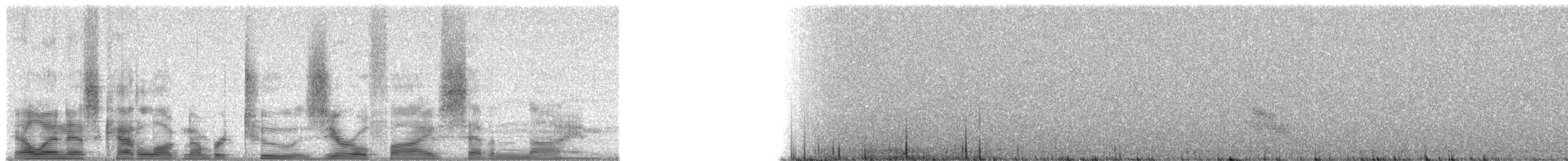 Tenerife Blue Chaffinch - ML20579