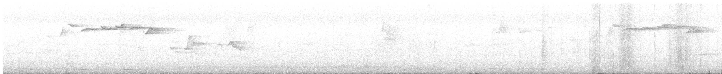 Зондская расписная пеночка - ML20589301