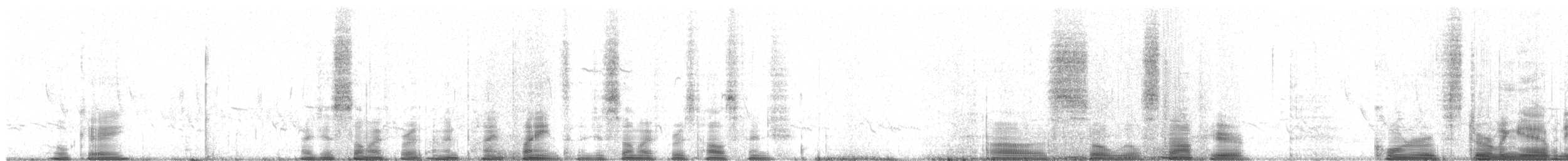 Roselin familier ou R. pourpré - ML206191