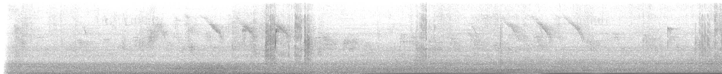 Schwarzbrust-Mangokolibri - ML206344581