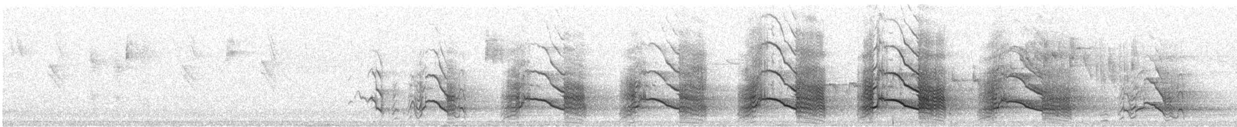 Cacatoès funèbre - ML206354321