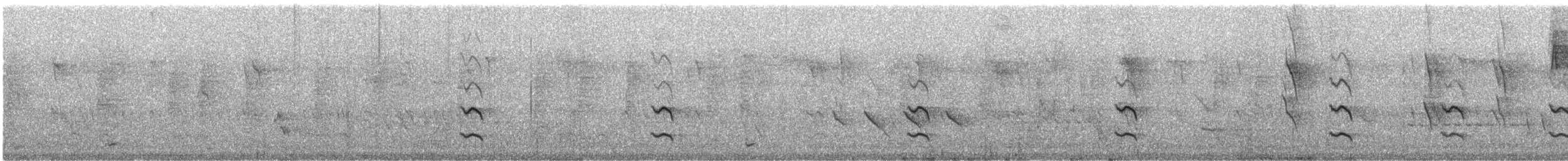 Тасманийскый радужник - ML206364481