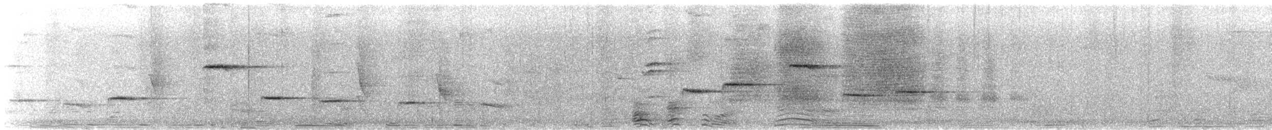 Troglodyte philomèle - ML206365141