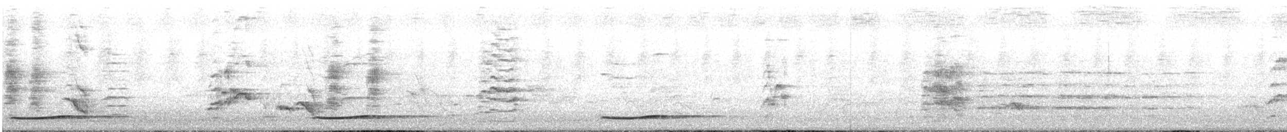 Pasifik Koeli (cyanocephalus/subcyanocephalus) - ML206376241