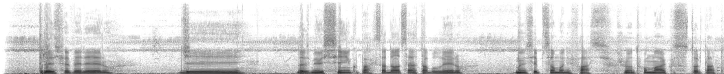 Olivscheitel-Breitschnabeltyrann (sulphurescens) - ML206382