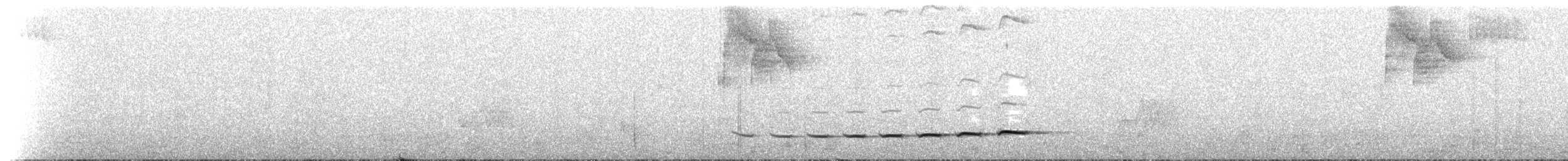 Fleckenbauch-Ameisenpitta - ML206389