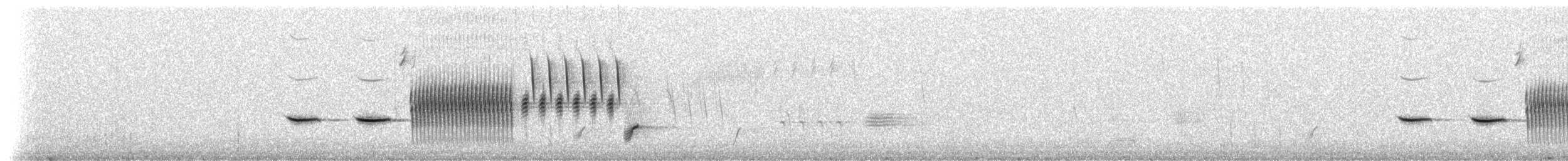 Song Sparrow - ML206397