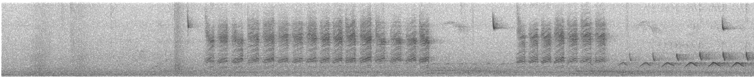 Grauhäubchenmeise - ML206398491