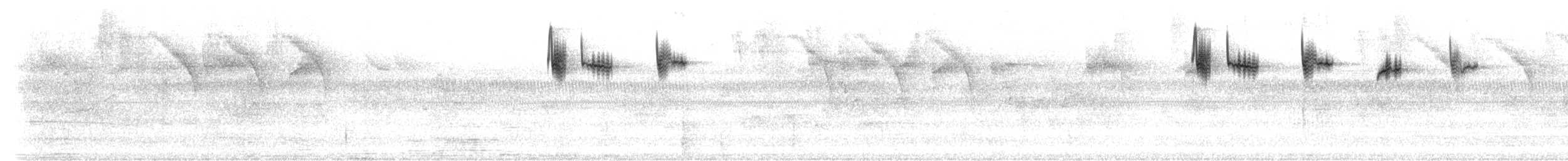 Kızıl Kuyruklu Kolibri [tzacatl grubu] - ML206401431