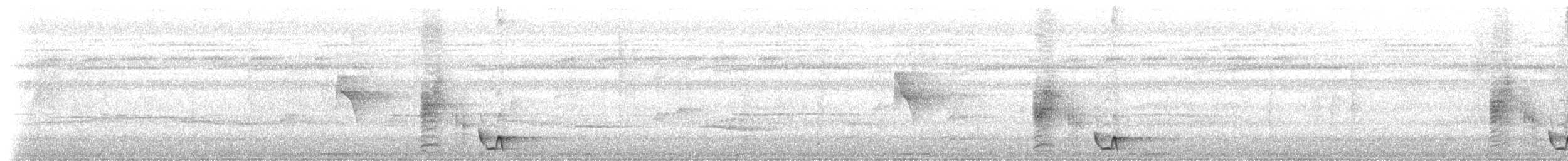 Поплітник білогорлий - ML206401721