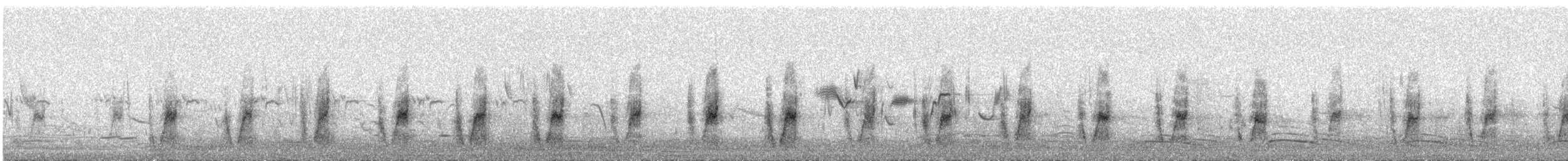 Oie-armée de Gambie - ML206409531