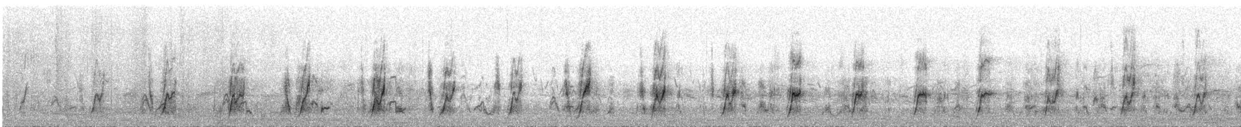 Oie-armée de Gambie - ML206409541