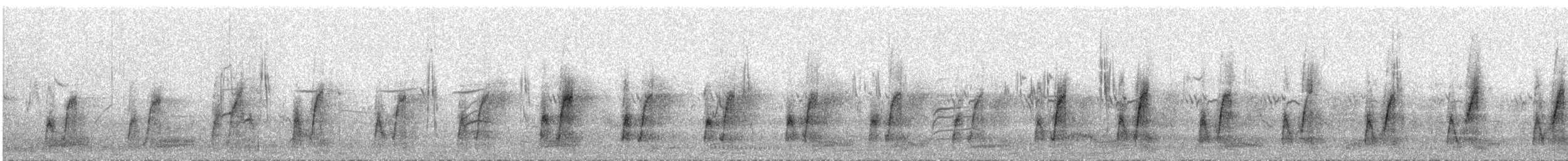 Oie-armée de Gambie - ML206409551