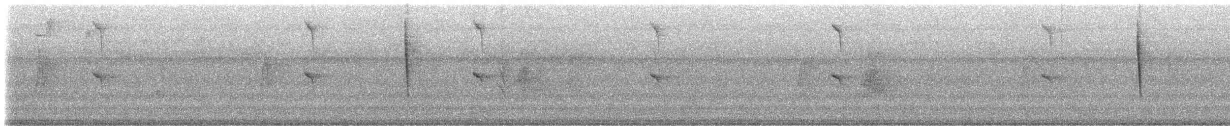 Conirostre oreillard - ML206411871