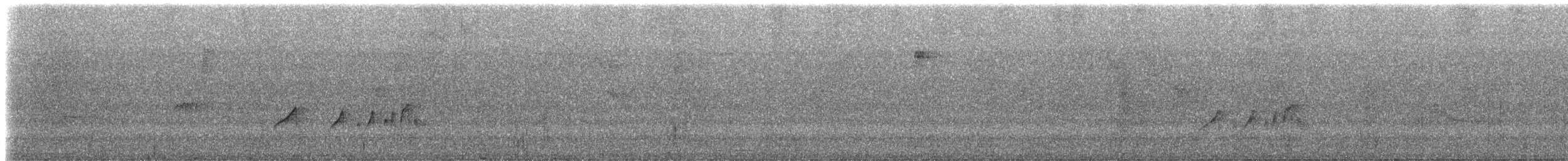 Rußkappen-Kleintyrann (cristatus) - ML206411951