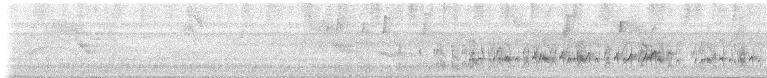 Rußkappen-Kleintyrann (cristatus) - ML206411991