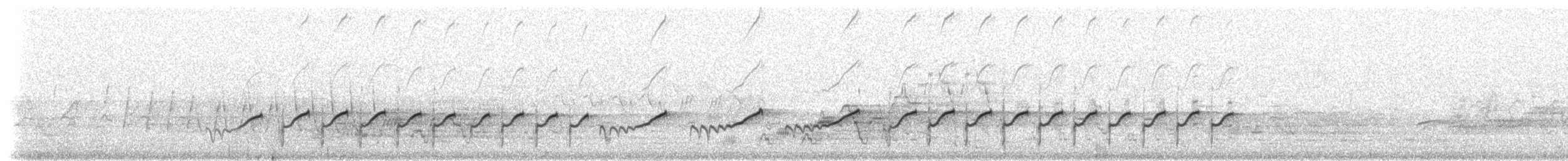 Drosseluferläufer - ML206456