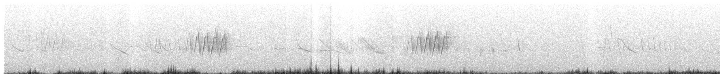Band-tailed Seedeater - ML206456791