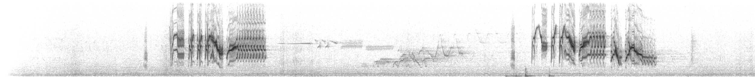 Gray-cheeked Thrush - ML206480