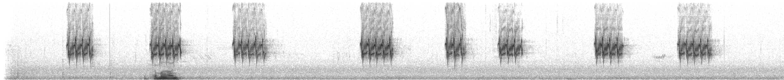 Sizerin blanchâtre - ML206498