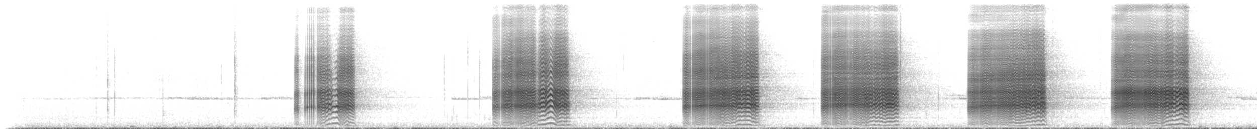 kakadu přílbový - ML206510