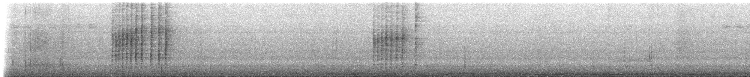 Troglodyte des halliers - ML206519461