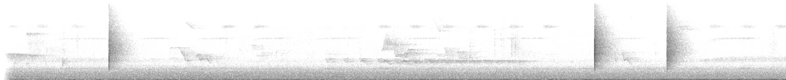 gullskjeggmanakin - ML206520081