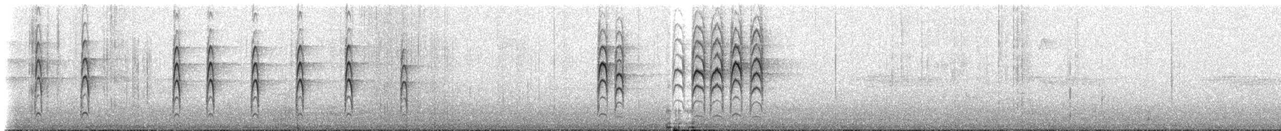 Rhipidure gris - ML206522