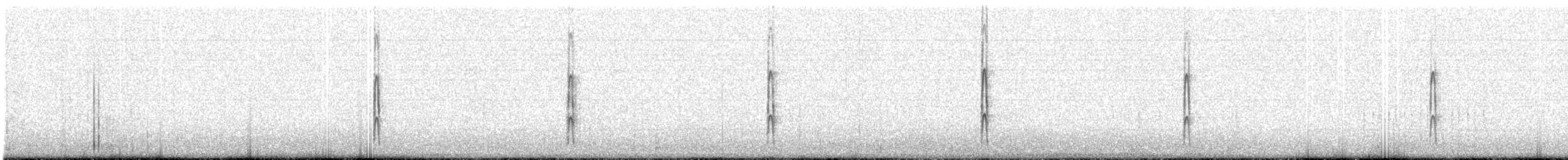 Ladder-backed Woodpecker - ML206555081