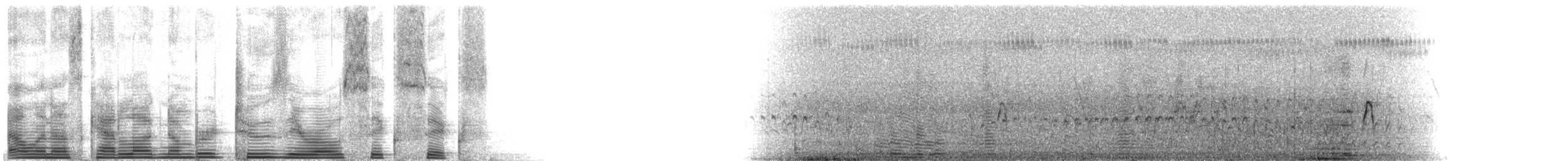 אנפית מנגרובים (עולם ישן) - ML2066