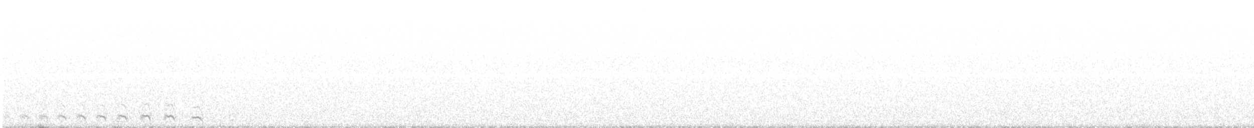 Андская совка (koepckeae) - ML206681181