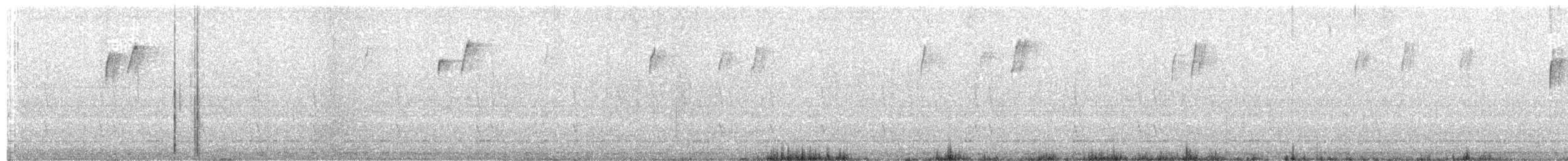 Kara Boğazlı Kolibri - ML206698931