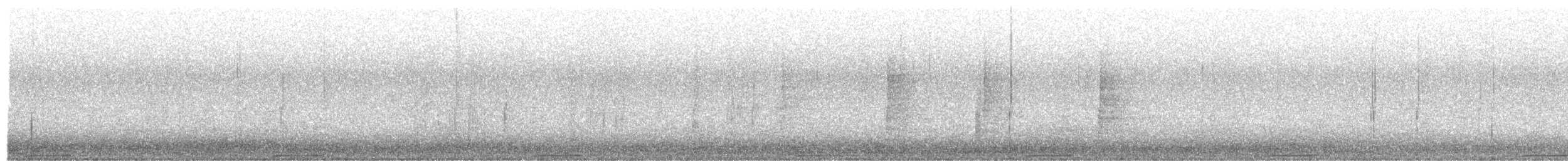holub pestrokřídlý - ML206737341