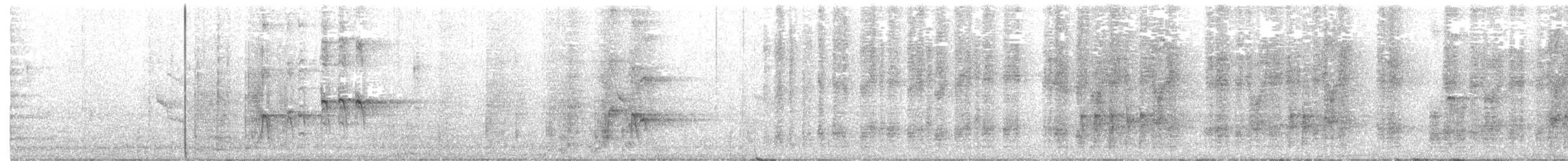 Band-backed Wren - ML206761021