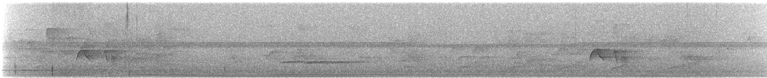 Acadian Flycatcher - ML206830321