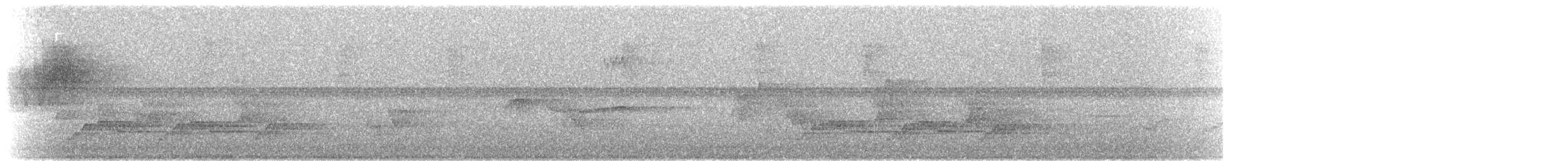 Carolina Wren - ML206832241