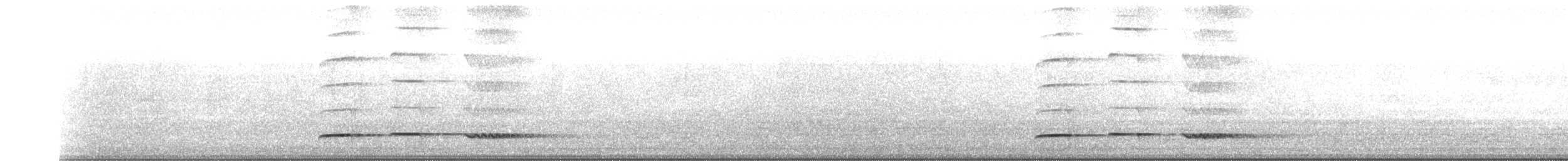 Pheasant Cuckoo - ML206833401