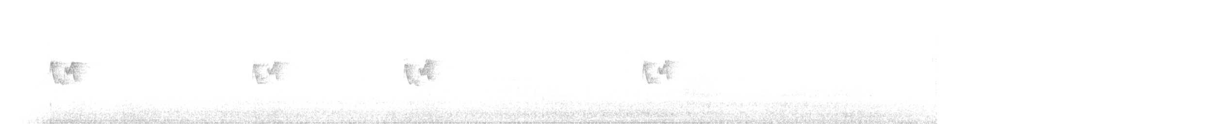 budníček altajský - ML206881101
