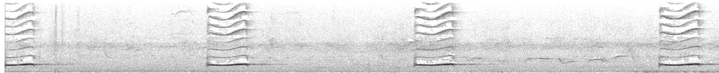 Pasifik Koeli (cyanocephalus/subcyanocephalus) - ML20688111