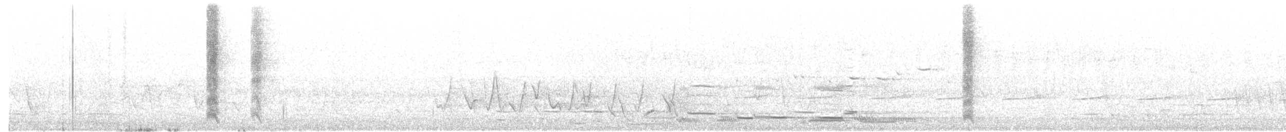 Méliphage cornu (melanops/meltoni) - ML20688251