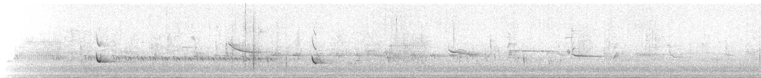 White-tailed Kite - ML206893691