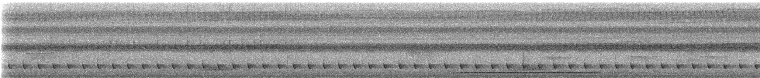 Borneobartvogel - ML206946