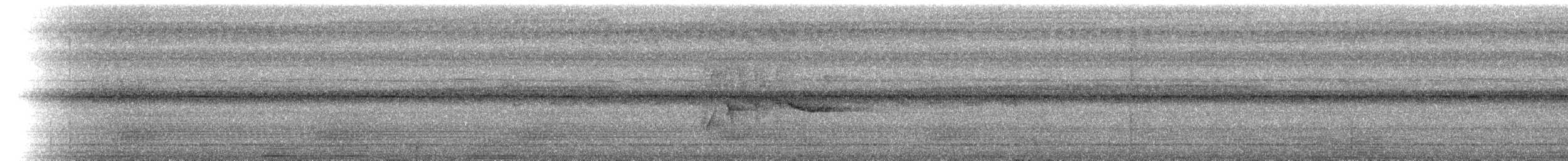 Bergspinnenjäger - ML206948