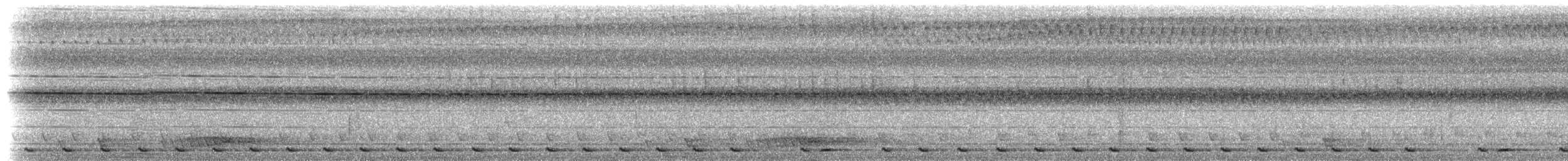 Mountain Barbet - ML206951