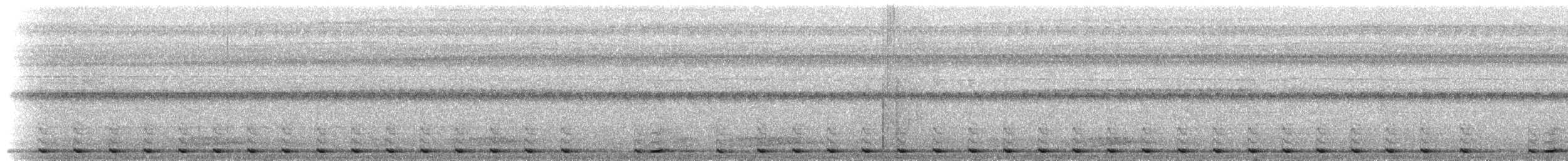 Mountain Barbet - ML206953