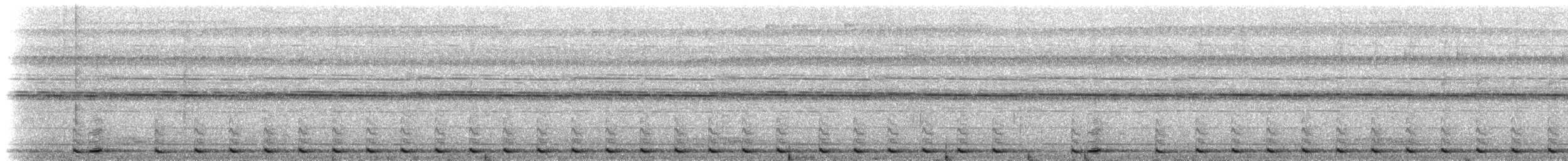 Borneobartvogel - ML206954