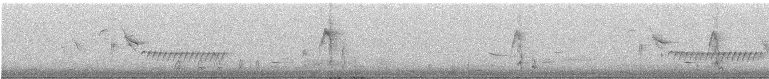 Bewick's Wren - ML206964721